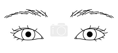 Illustration for Woman eyes, hidden double eyelid, Almond eyes, outline illustration - Royalty Free Image