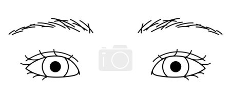 Foto de Ojos de mujer, ojos de doble párpado, pliegue epicantal, ojos de almendra, ilustración del contorno - Imagen libre de derechos