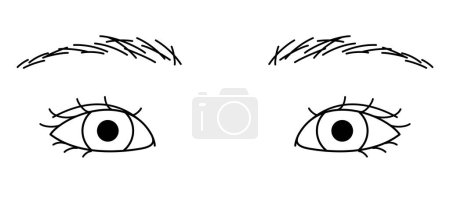 Ilustración de Ojos de mujer, ojos ocultos de doble párpado, pliegue epicantal, ojos de almendra, ilustración del contorno - Imagen libre de derechos