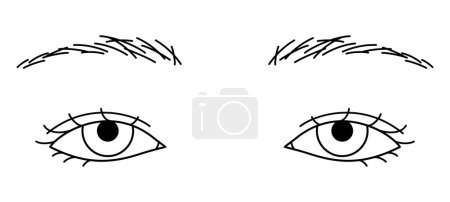 Illustration for Woman eyes, double eyelids, Almond eyes, sanpaku ,outline illustration - Royalty Free Image