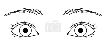 Illustration for Woman eyes, double eyelids, large eyes ,outline illustration - Royalty Free Image