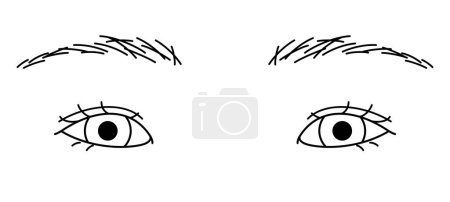 Illustration for Woman eyes, double eyelids, small eyes ,outline illustration - Royalty Free Image