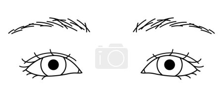 Illustration for Woman eyes, double eyelids, downturned eyes ,outline illustration - Royalty Free Image