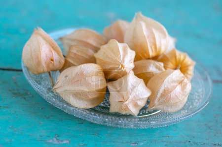 Photo for Physalis peruviana ripened orange yellow cape gooseberry goldenberry edible tasty ingredient fruits spread on rustic wooden background - Royalty Free Image