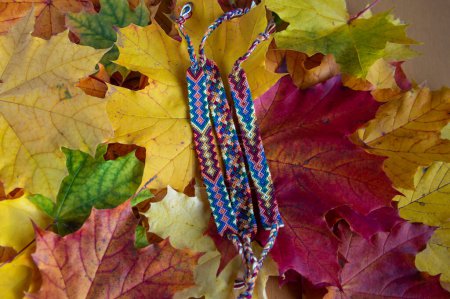 Photo for Handmade homemade colorful natural woven bracelets of friendship isolated on autumnal natural leaves background, beautiful bright colors - Royalty Free Image