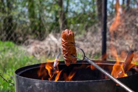 Téléchargez les photos : Savoureux saucisses de porc gras malsain grillé sur le feu sur un long bâton de fourchette à l'extérieur dans le jardin, la nourriture et les boissons - en image libre de droit