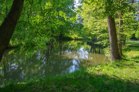 Photo for Natural location Na Podkove near Chrudima river, oxbow surrounded with trees and greenery, water surface reflections during summer time - Royalty Free Image