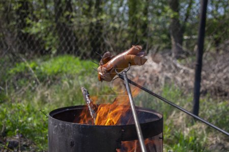 Foto de Sabrosas salchichas de cerdo grasas poco saludables a la parrilla en el fuego en el largo tenedor palo al aire libre en el jardín, comida y bebida - Imagen libre de derechos