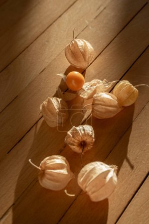 Téléchargez les photos : Physalis péruviana mûri orange jaune cape groseille goldenberry comestible ingrédient savoureux fruits répartis sur fond de bois rustique - en image libre de droit