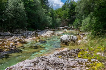 Foto de Increíble agua salvaje en el valle de mala korita Soce, pequeño arroyo turquesa pura que fluye a través del desfiladero de piedras - Imagen libre de derechos
