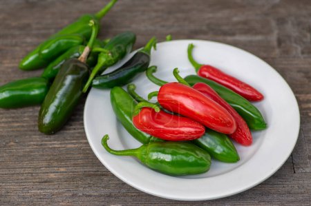 Capsicum annuum Jalapeno chilli hot peppers crop, group of green and red fruits on wooden brown table on white plate