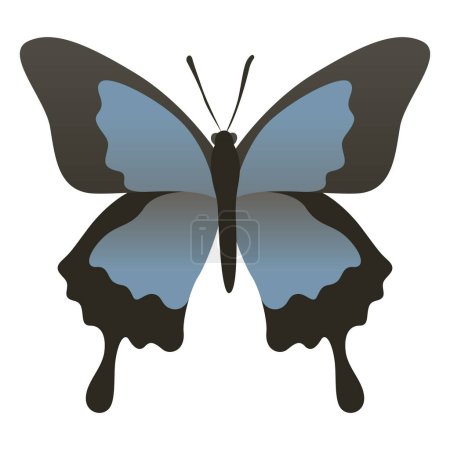 Color vector illustration of ulysses butterfly with beautiful black and blue wings. Wild large insect isolated on white background. Wildlife of Australia, Indonesia, Papua New Guinea.