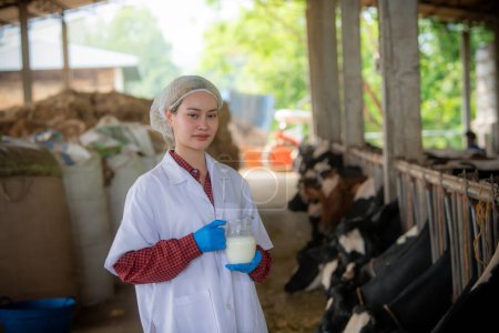 Photo for Woman Asian agronomist or animal doctor collecting milk sample at dairy farm - Royalty Free Image