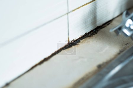 Photo for Mildew mold on kitchen sink. Water leaking from the faucet. High quality photo - Royalty Free Image