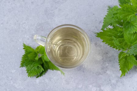 Herbal nettle tea and with fresh nettle leaves. Glass cup of nettle tea on a gray background. Weight loss and detox. Alternative medicine. High quality photo