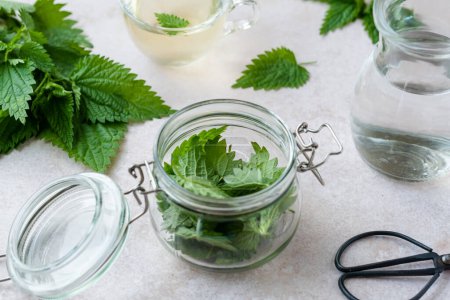 Make herbal remedy nettle tincture. A glass jar with nettle leaves on white table. Weight loss and detox. Alternative medicine. top view . High quality photo
