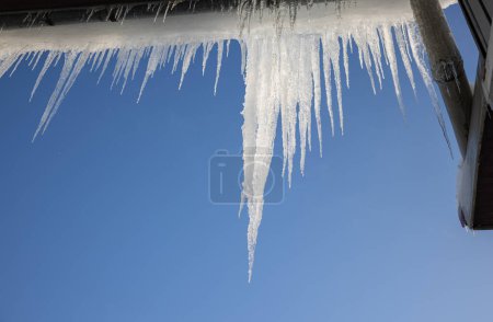 Photo for Icicles that hang from the roof of the house. Warm winter day - Royalty Free Image