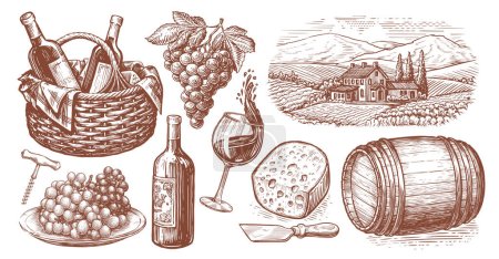 Téléchargez les photos : Concept de viticulture illustration vintage. Collection de croquis dessinés à la main. Set de vin - en image libre de droit