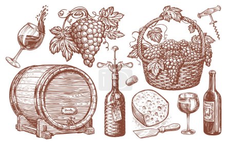 Téléchargez les photos : Set de vin. Viticulture, concept viticole illustration vintage. Collection de croquis dessinés à la main - en image libre de droit