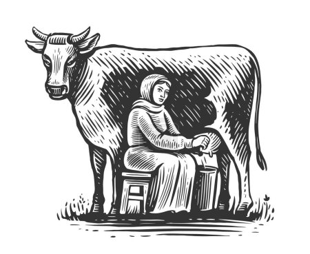 Foto de Vaca lechera de ordeño en estilo grabado vintage. Industria de productos lácteos. Cow lechera granja eco negocio. Nutrición saludable - Imagen libre de derechos