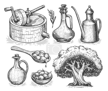 Téléchargez les photos : Concept de production d'huile d'olive. Aliments naturels extra vierges, sains et naturels. Croquis vintage gravé à la main - en image libre de droit