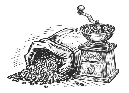 Téléchargez les photos : Coffee grinder and coffee beans in vintage engraving style. Drink concept. Hand drawn sketch illustration - en image libre de droit