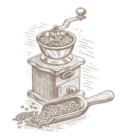 Foto de Roasted coffee beans and retro coffee grinder. Vintage device for preparing coffee drink. Hand drawn illustration sketch - Imagen libre de derechos