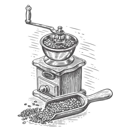 Foto de Hand drawn retro coffee grinder with coffee beans. Vintage sketch illustration for cafe menu or coffee shop - Imagen libre de derechos