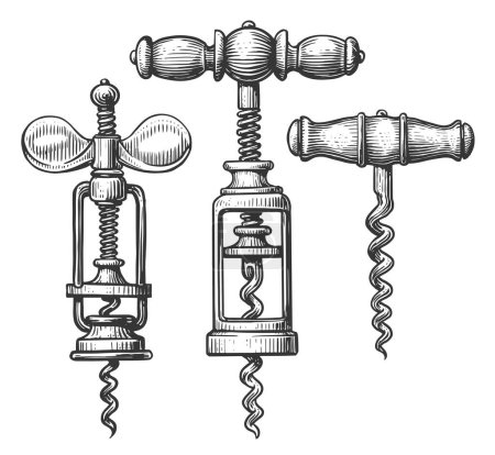 Foto de Hand drawn corkscrew in engraving style. Vintage style. Sketch illustration - Imagen libre de derechos