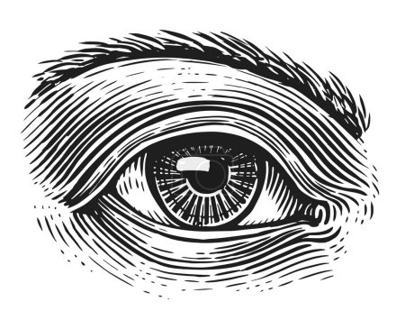 Foto de Hand draw human eye in vintage engraving style. Sketch illustration - Imagen libre de derechos