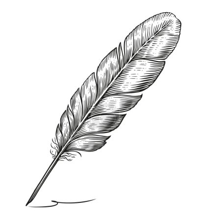 Foto de Pluma pluma pluma pluma de inmersión en estilo grabado vintage. Dibujo dibujado a mano ilustración - Imagen libre de derechos