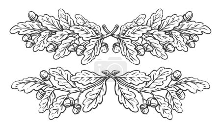 Photo for Drawn oak branch with leaves and acorns. Frame border design set. Vintage decorations sketch illustration - Royalty Free Image