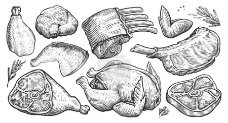 Photo for Meat set. Hand drawn illustration for butcher shop or restaurant menu. Sketch engraved style - Royalty Free Image