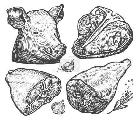 Foto de Juego de cortes de carne de granja. Carne de res, jamón, tocino, cabeza de cerdo. Concepto de comida. Dibujo dibujado a mano ilustración - Imagen libre de derechos
