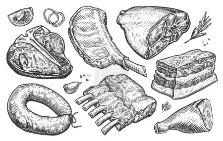 Frische Fleischprodukte vom Bauernhof. Handgezeichnete Illustration für Metzgerei oder Restaurantkarte. Skizzenstil