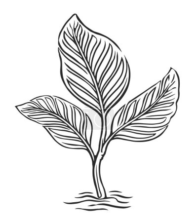 Foto de Sprout creciente ilustración de bocetos. Crecimiento vegetal. Germinación, plántulas y plantación de semillas - Imagen libre de derechos