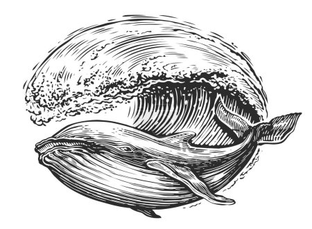 Téléchargez les photos : Vagues et baleines, croquis des poissons de mer. Style marin, illustration dessinée à la main pour poster, tatouage, t-shirt et design de carte - en image libre de droit