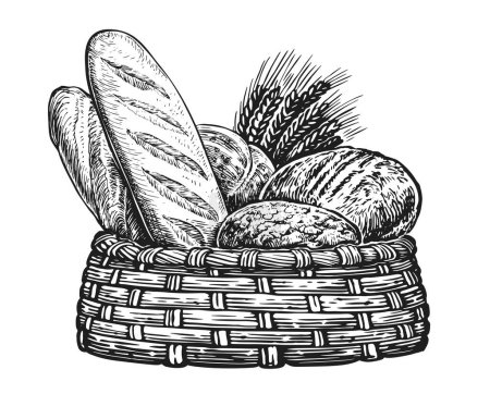 Photo for Breads and ears of wheat sketch. Fresh baked goods in basket, vintage illustration - Royalty Free Image
