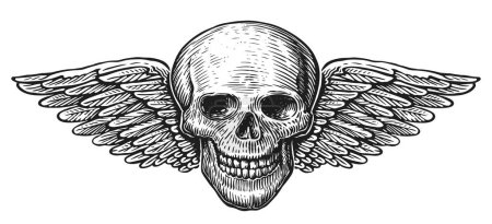 Téléchargez les photos : Crâne humain avec des ailes. Tête squelette ailée dessinée à la main. Esquisse illustration vintage - en image libre de droit