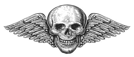 Photo for Winged skull. Wings and skeleton in old engraving style. Hand drawn vintage illustration - Royalty Free Image
