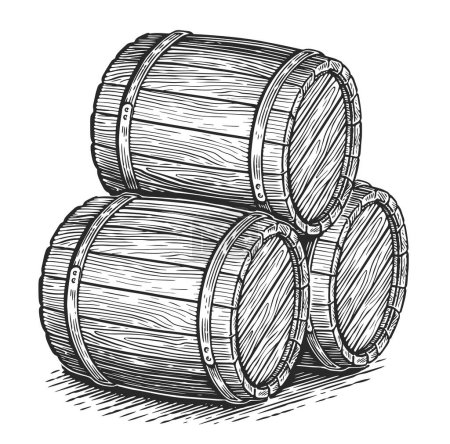 Photo for Oak barrels illustration. Three old wooden casks, hand drawn in sketch style - Royalty Free Image