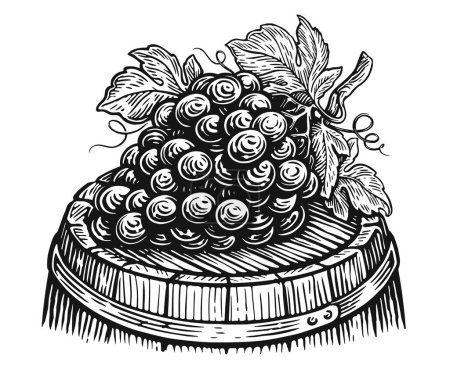 Photo for Ripe grapes picked from the vineyard on wooden oak barrel. Hand drawn sketch drawing - Royalty Free Image