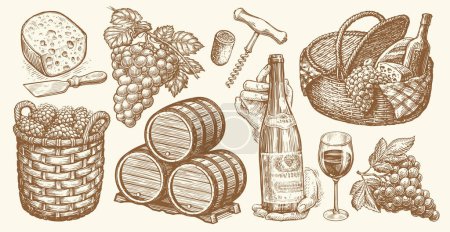 Vineyard concept vintage set. Bottle wine, grapevine, barrels, corkscrew, bunches grapes, cheese. Winery sketch vector