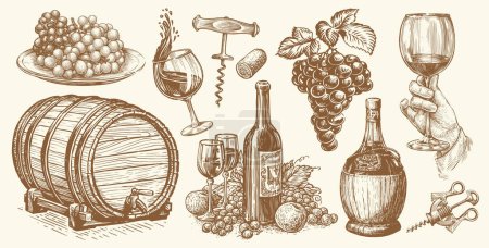 Illustration for Bottle wine, grapevine, wooden barrel, corkscrew, bunches grapes. Vineyard concept vintage set. Winery sketch vector - Royalty Free Image