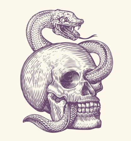 Human skull with crawling snake. Hand drawn sketch in vintage engraving style. Monochrome tattoo vector illustration