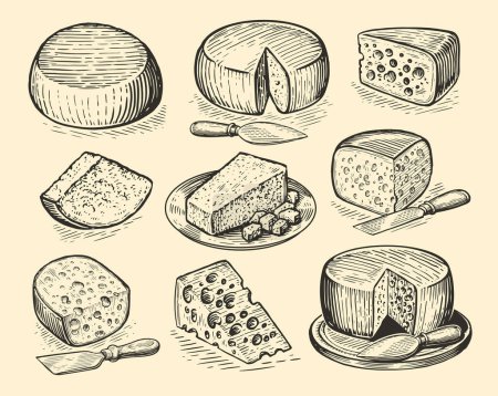 Téléchargez les illustrations : Fromagerie différents types de fromage ensemble. Collection de nourriture laitière. Illustration vectorielle dans le style croquis - en licence libre de droit