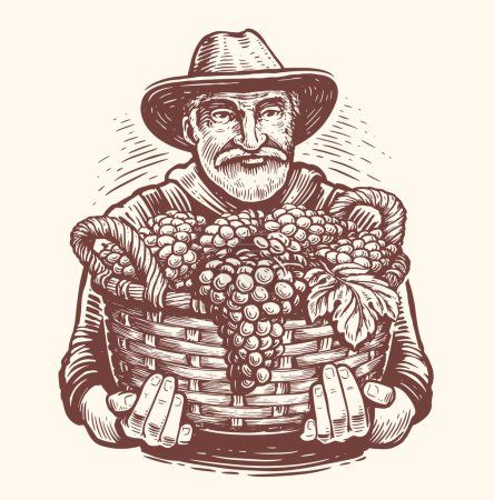 Téléchargez les illustrations : Fermier avec panier complet de raisins mûrs récoltés dans le vignoble. Agriculture, croquis fruitier. Vecteur vintage - en licence libre de droit