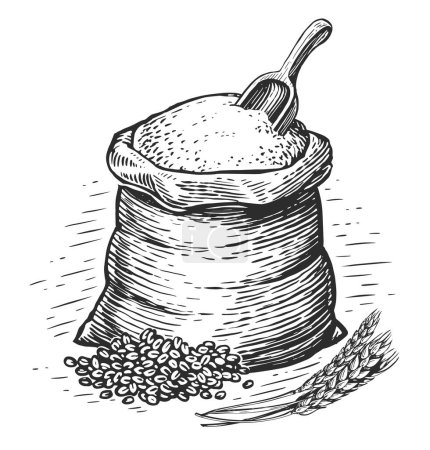 Ilustración de Bolsa llena de harina con cuchara de madera. Granja de trigo de pan orgánico para hornear. Agricultura bosquejo vintage vector ilustración - Imagen libre de derechos
