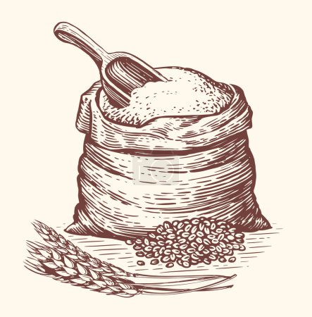 Illustration for Sack or burlap bag with wholemeal bread flour, barley grains, wooden scoop and ears of wheat. Natural farm food sketch - Royalty Free Image