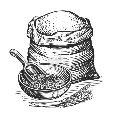 Illustration for Sack or burlap bag with wholemeal bread flour, barley grains, wooden scoop and ears of wheat. Organic farm food sketch - Royalty Free Image